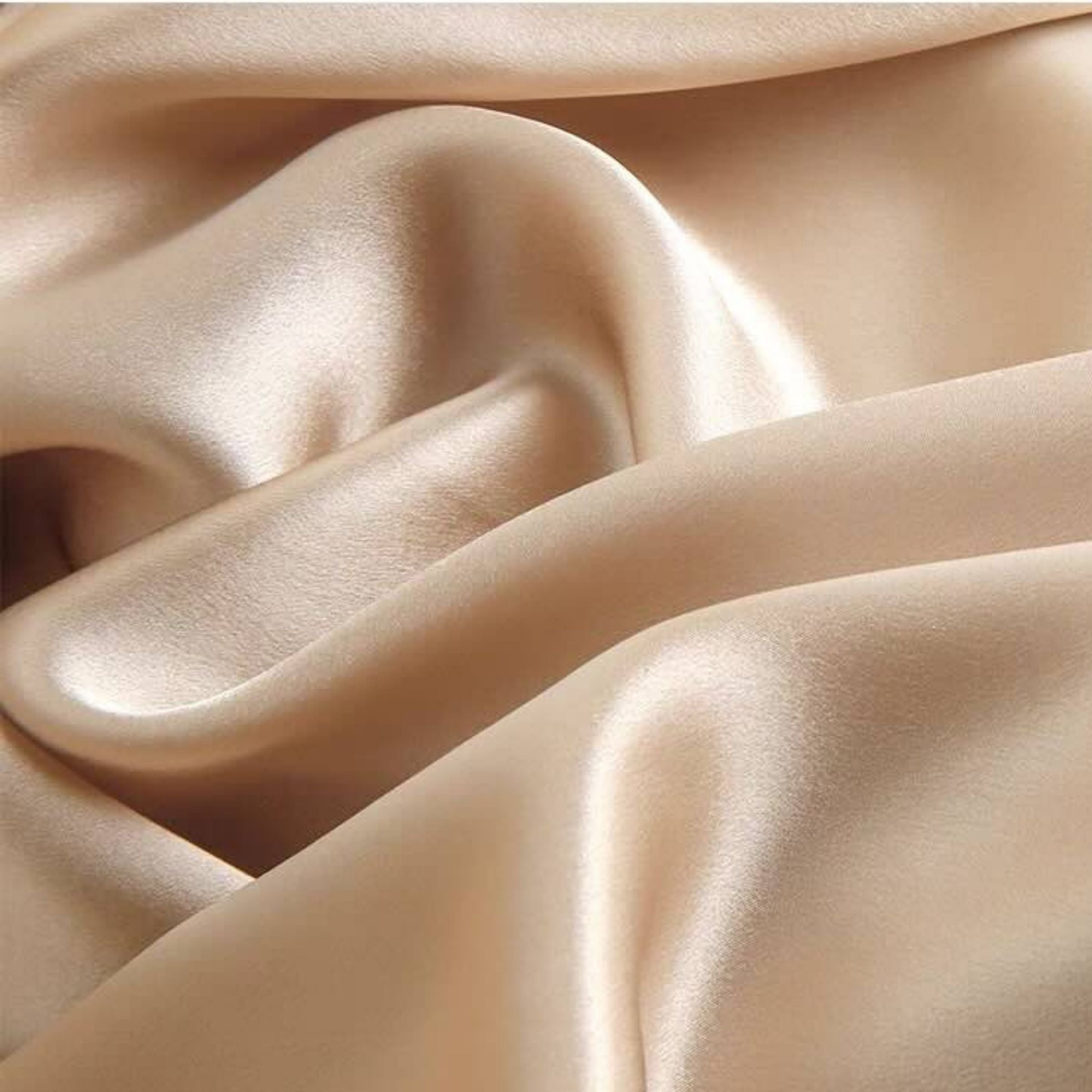 Taies d'oreiller en soie 22momme Champagne